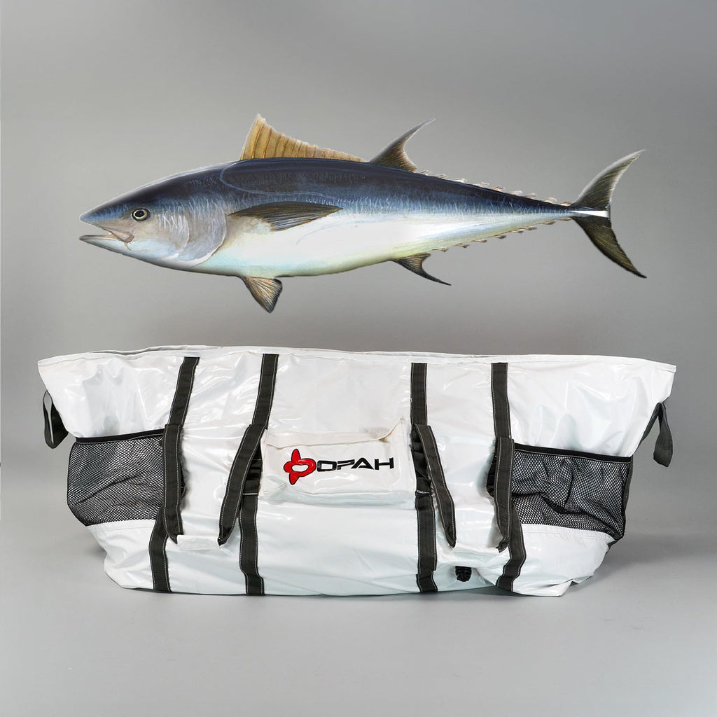 Insulated Camping Cooler Box ❄️🏕️ | Waterproof Outdoor Storage Chest 🌊